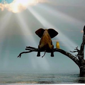 Meet your Posher, Mark